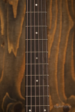 Taylor 117e Special Edition