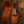 Taylor 24ce Special Edition Sunset Boulevard