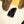Fender American Professional II Precision Bass Olympic White
