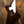 Gibson 70s Explorer Dark Walnut