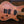 Mayones Regius 6 Master Grade Spalted Maple