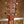 Martin Super HD-28