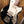 Novo Serus J Starry Night over Sonic Blue Dealer Limited