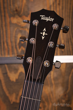 Taylor Builder's Edition 517th Grand Pacific Wild Honey Burst