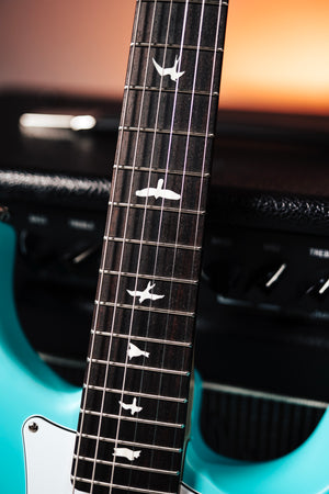 PRS Silver Sky Limited Edition "Wild Blue"