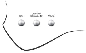 Dingwall D-Roc Standard 4 Black Matte