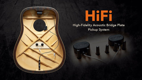 LR Baggs Hi-Fi Pickup System