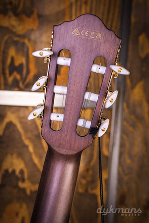 Ibanez TOD10N TKF Tim Henson Signature