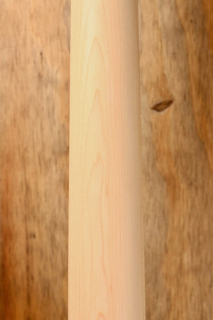 Sire Marcus Miller U5+ A4 / TS