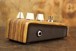 LR Baggs Align Series Session