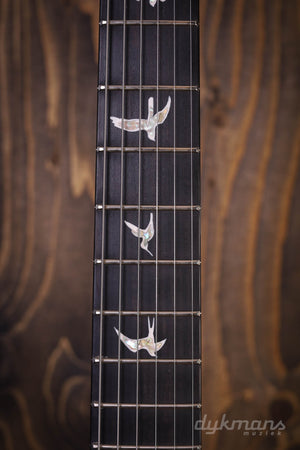 PRS Custom 24 "Floyd" Custom Colour 24 10-Top