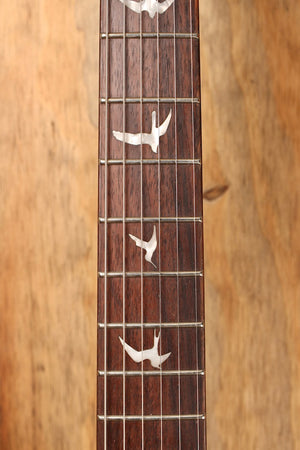 PRS SE Mark Tremonti Charcoal Burst