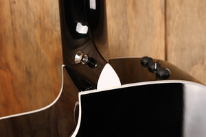 Taylor 250ce-BLK DLX B-stock